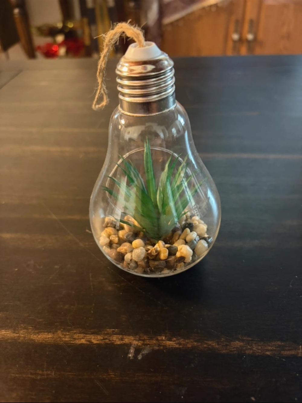 Succulent Decoration - Picture 2 of 3